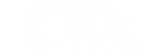 CNN